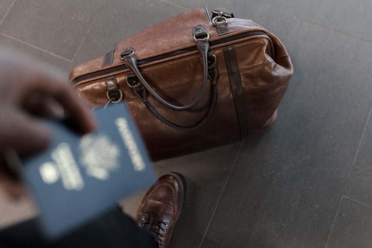 Department of Home Affairs – Delays and Backlog